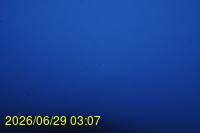 Img20260629_030756.jpg
