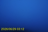Img20260629_031256.jpg
