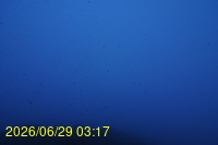 Img20260629_031756.jpg