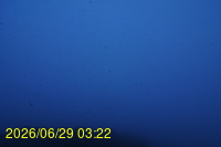 Img20260629_032256.jpg