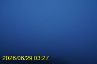 Img20260629_032756.jpg