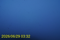Img20260629_033256.jpg