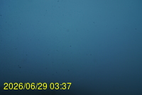 Img20260629_033756.jpg