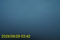 Img20260629_034256.jpg