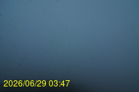 Img20260629_034756.jpg
