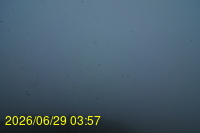 Img20260629_035756.jpg