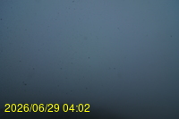 Img20260629_040257.jpg