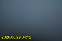 Img20260629_041257.jpg