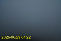 Img20260629_042257.jpg