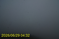 Img20260629_043257.jpg
