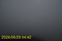 Img20260629_044257.jpg