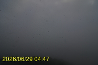 Img20260629_044757.jpg