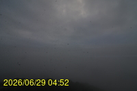 Img20260629_045257.jpg
