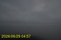 Img20260629_045757.jpg