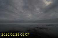 Img20260629_050757.jpg