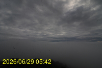Img20260629_054257.jpg