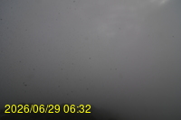 Img20260629_063257.jpg