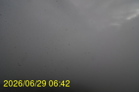 Img20260629_064257.jpg