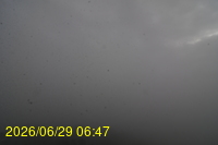 Img20260629_064757.jpg