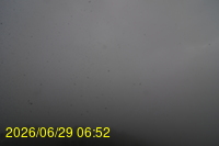 Img20260629_065257.jpg