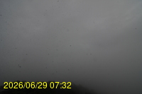 Img20260629_073257.jpg