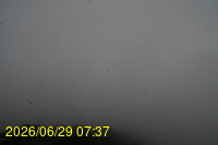 Img20260629_073757.jpg