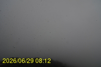 Img20260629_081257.jpg