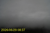 Img20260629_083757.jpg