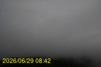 Img20260629_084257.jpg