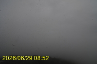 Img20260629_085257.jpg