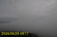 Img20260629_091758.jpg