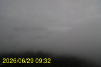 Img20260629_093258.jpg