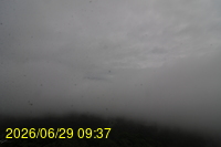 Img20260629_093758.jpg
