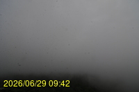 Img20260629_094258.jpg