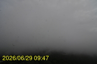 Img20260629_094758.jpg