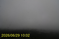 Img20260629_100258.jpg