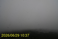 Img20260629_103758.jpg