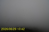 Img20260629_104258.jpg
