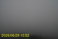 Img20260629_105258.jpg