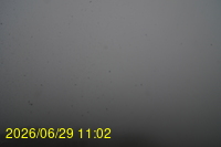 Img20260629_110258.jpg