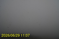 Img20260629_110758.jpg