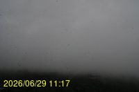 Img20260629_111758.jpg