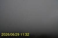 Img20260629_113258.jpg