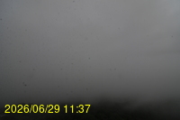 Img20260629_113758.jpg