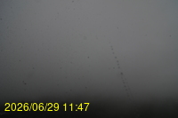 Img20260629_114758.jpg