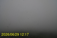 Img20260629_121758.jpg