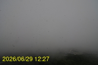 Img20260629_122758.jpg