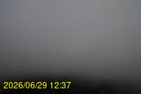 Img20260629_123758.jpg