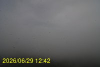Img20260629_124258.jpg