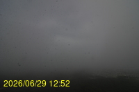 Img20260629_125258.jpg